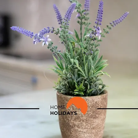 #174 T2 Em Zona Tranquila By Holidays * Албуфейра