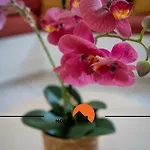 #174 2br Quiet Area البوفيرا