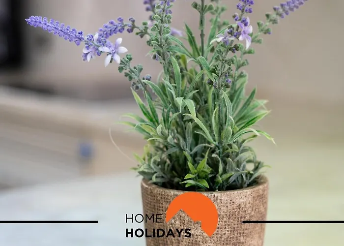 #174 T2 Em Zona Tranquila By Holidays * البوفيرا