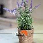 #174 2br Quiet Area * Albufeira